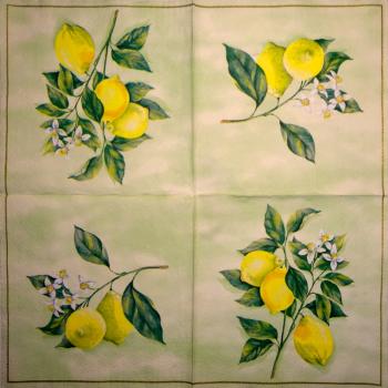 008 Lemons,  Oranges - 3-ply (weiß) - Ihr